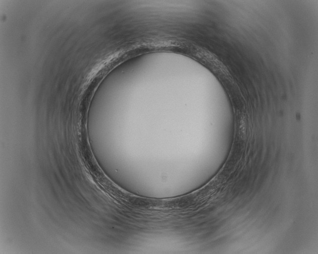 X0000066530732200604071616