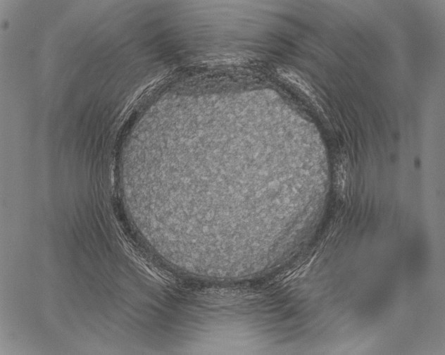 X0000066530733200604071616