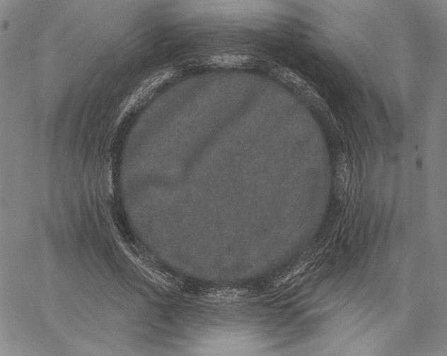 X0000066530734200604071616