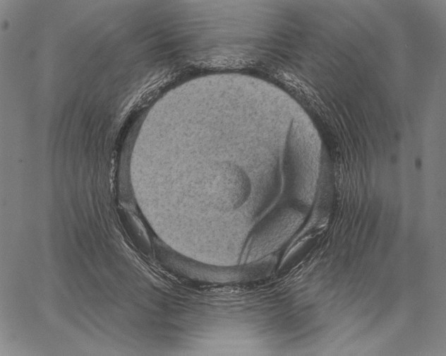 X0000066530735200604071616