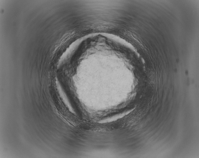 X0000066530738200604071616