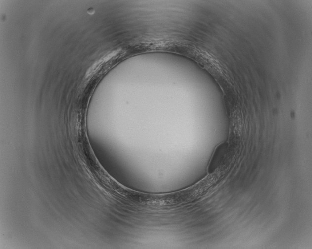 X0000066530740200604071616