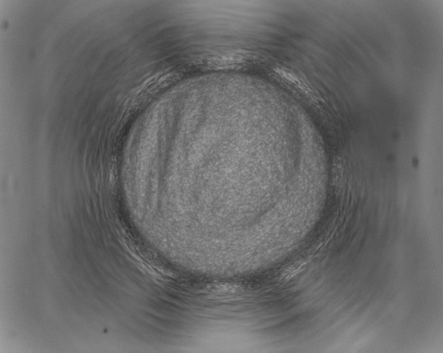 X0000066530741200604071616