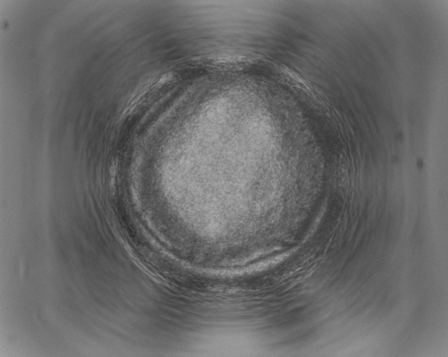 X0000066530742200604071616