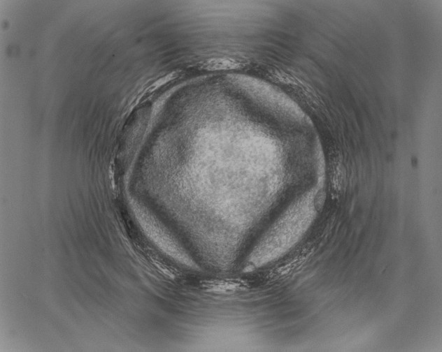 X0000066530743200604071616