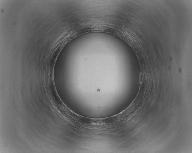 X0000066530744200604071616