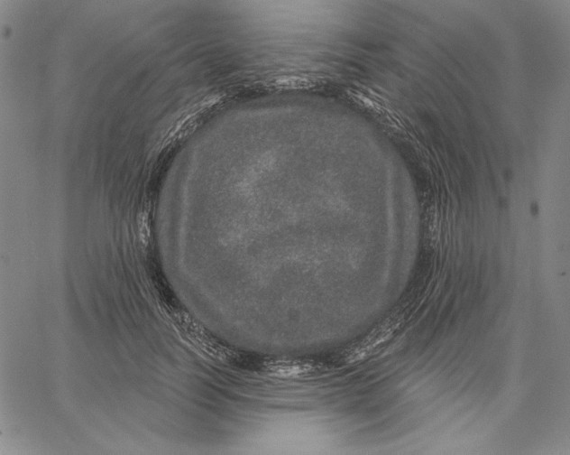 X0000066530746200604071616