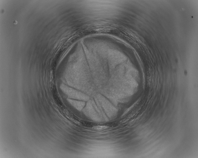 X0000066530748200604071616