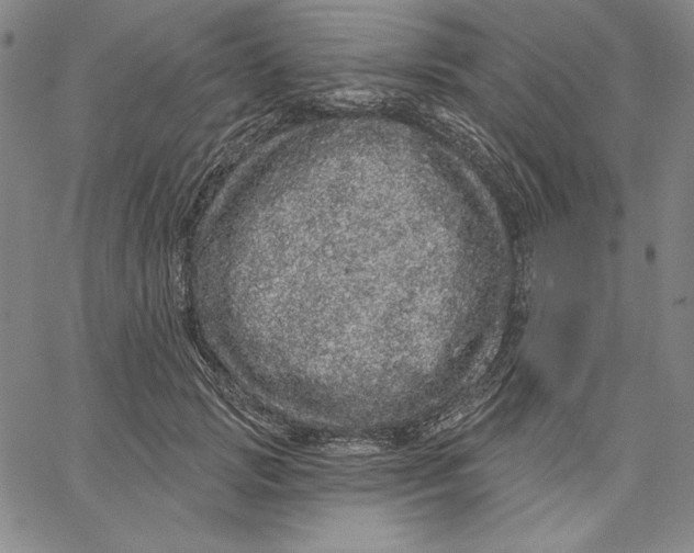 X0000066530749200604071616