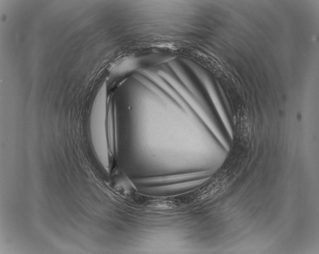 X0000066530750200604071616