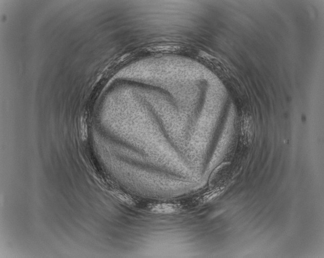 X0000066530751200604071616