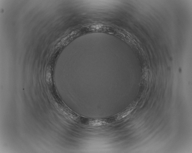 X0000066530754200604071616