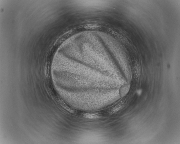 X0000066530755200604071616