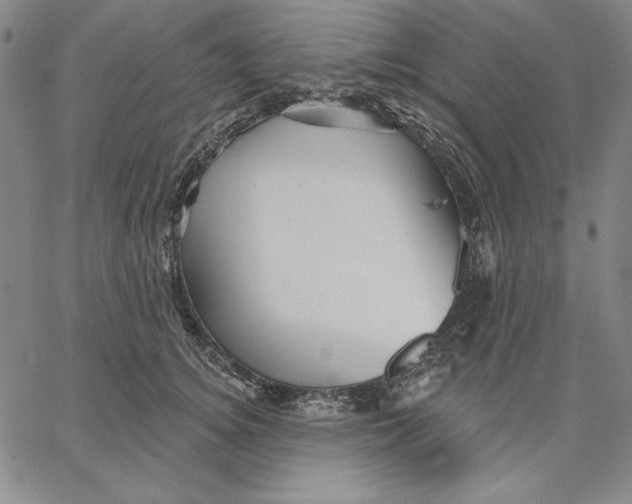 X0000066530756200604071616