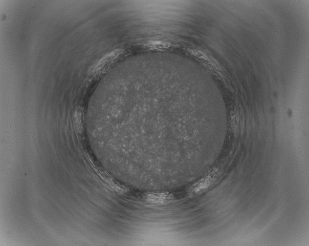 X0000066530757200604071617