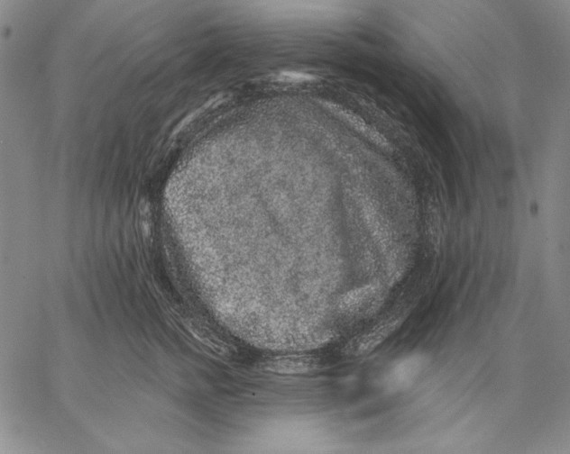 X0000066530758200604071617