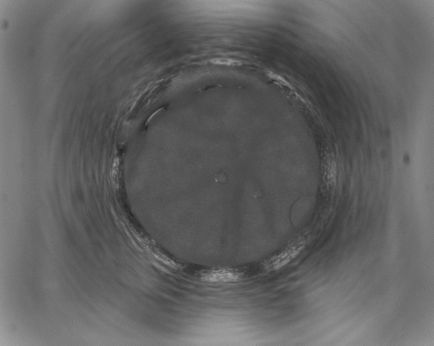 X0000066530759200604071617