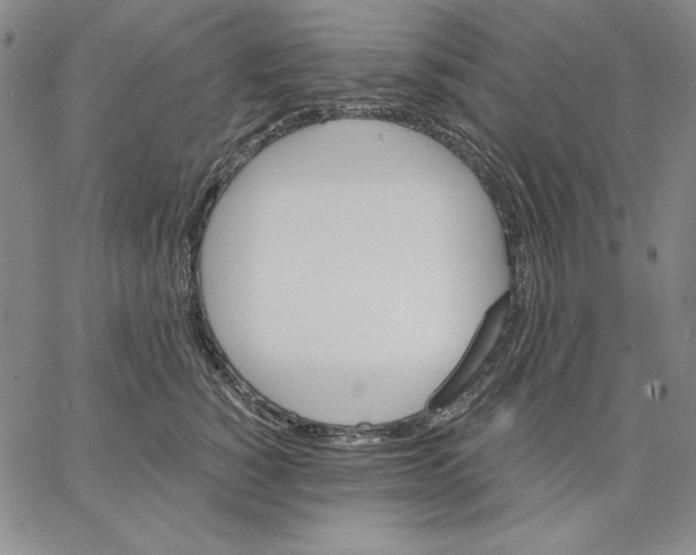 X0000066530760200604071617