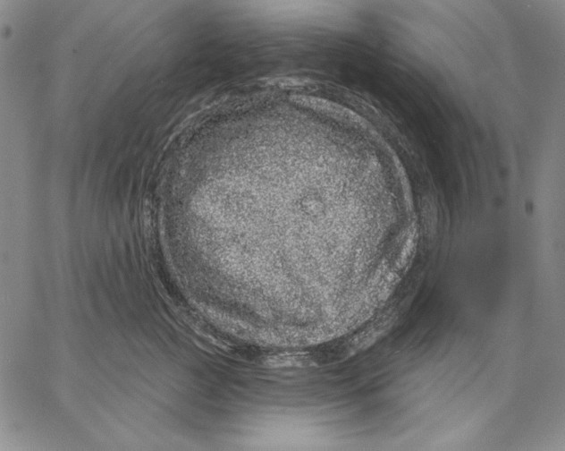 X0000066530761200604071617