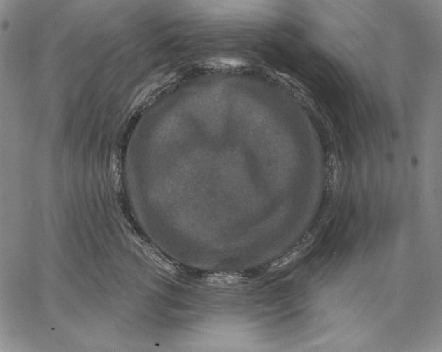 X0000066530762200604071617