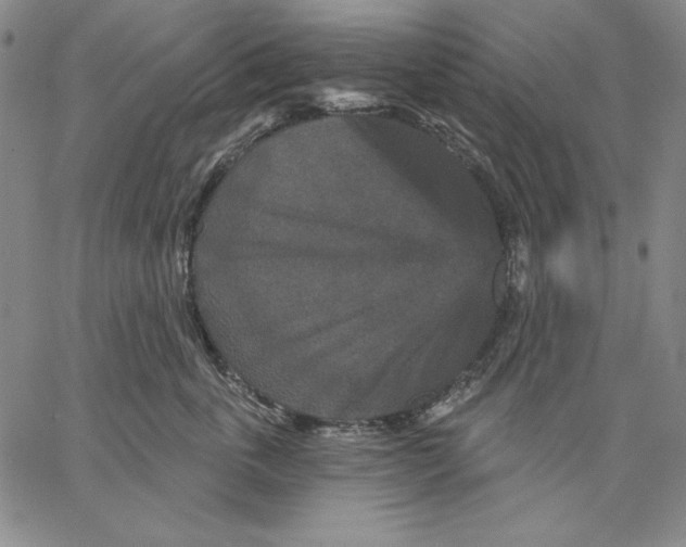 X0000066530763200604071617