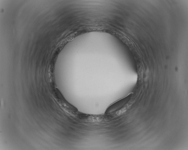 X0000066530764200604071617