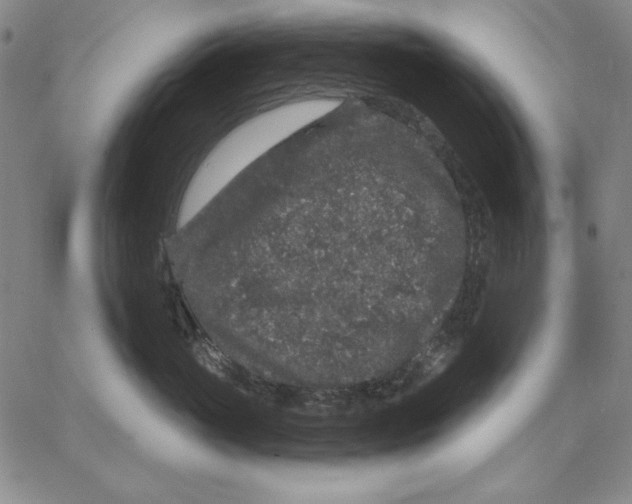 X0000066530765200604071617