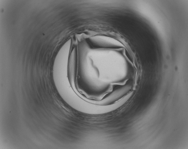 X0000066530766200604071617