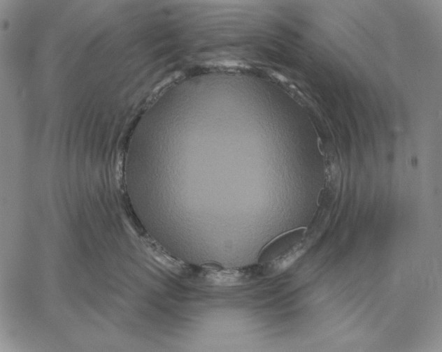 X0000066530767200604071617