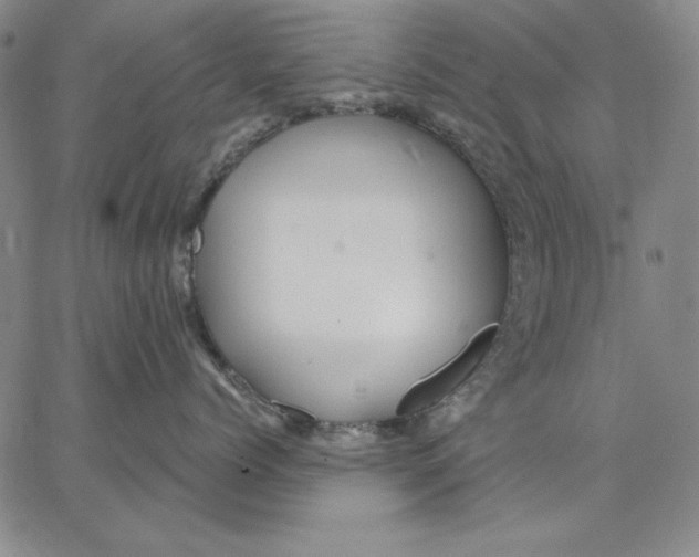 X0000066530768200604071617