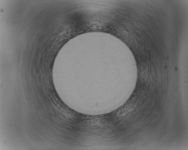 X0000066530769200604071616