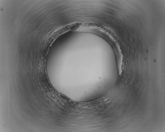 X0000066530773200604071616