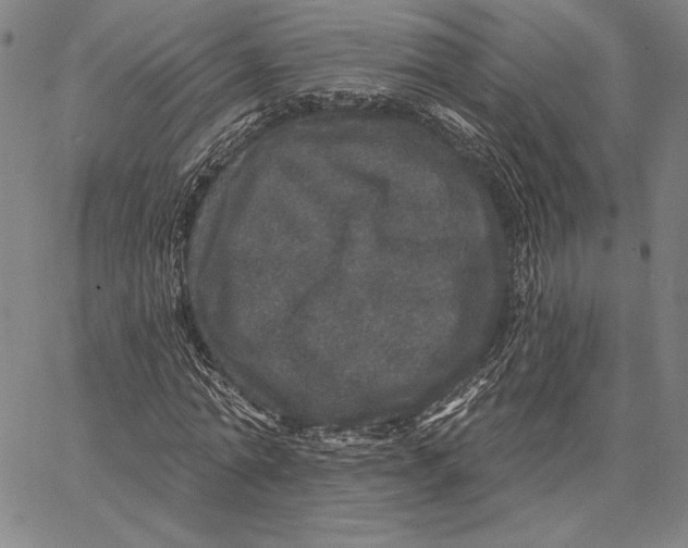 X0000066530774200604071616