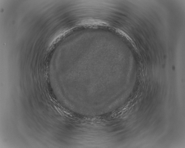 X0000066530775200604071616