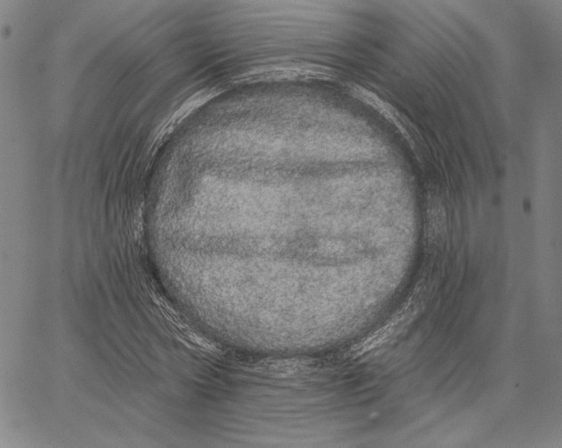 X0000066530778200604071616