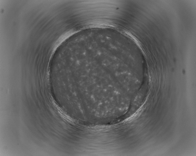 X0000066530779200604071616