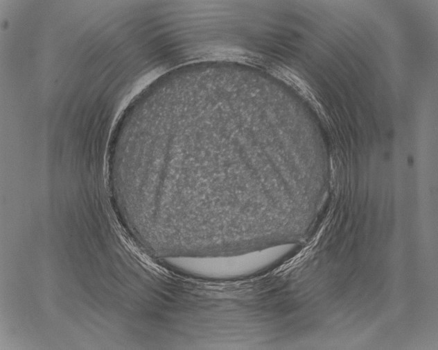 X0000066530780200604071616