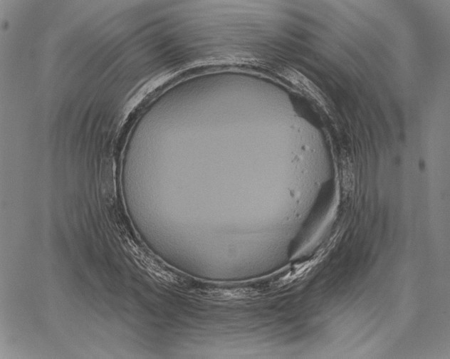 X0000066530781200604071616