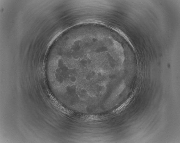 X0000066530783200604071616