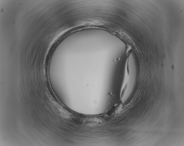 X0000066530784200604071616