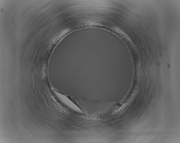 X0000066530785200604071616