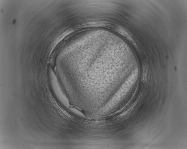 X0000066530786200604071616