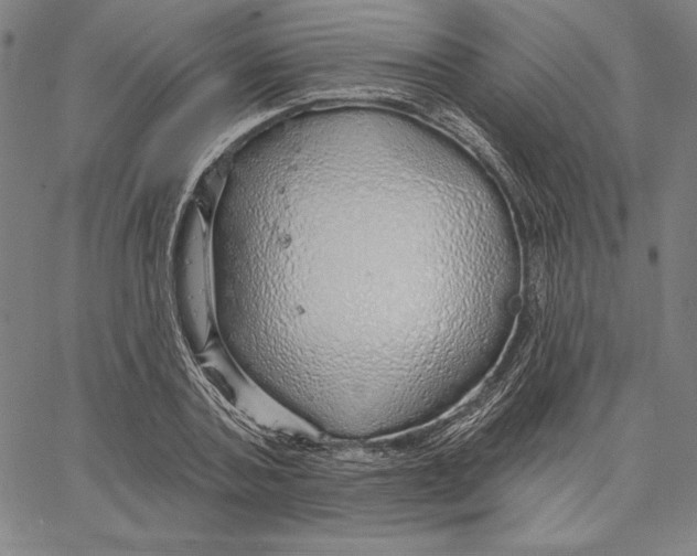 X0000066530787200604071616