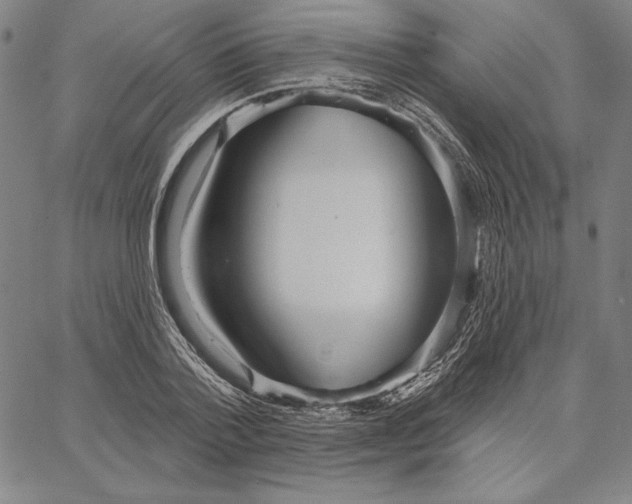 X0000066530788200604071616