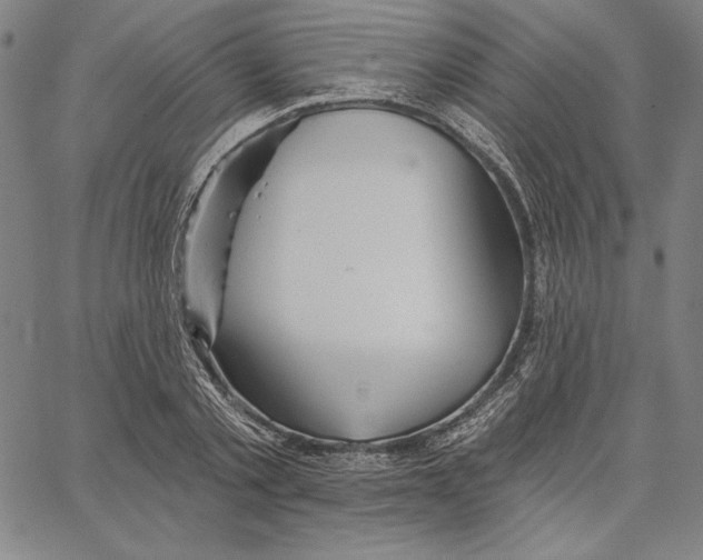 X0000066530789200604071616