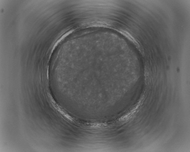 X0000066530790200604071616