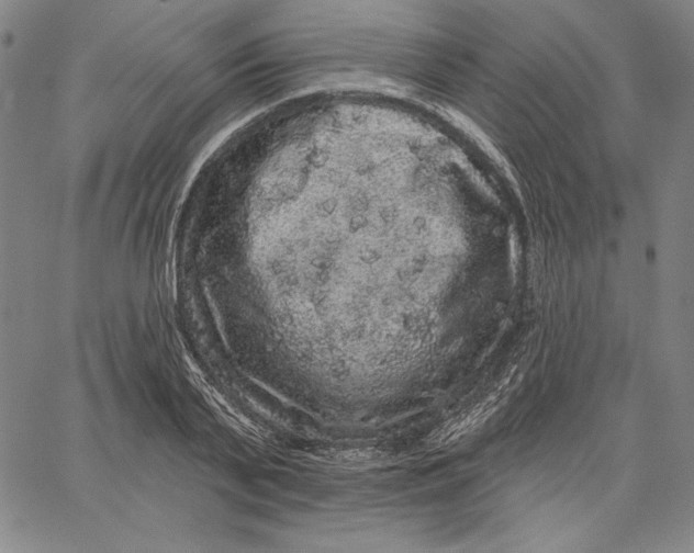 X0000066530791200604071616