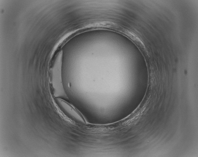 X0000066530792200604071616