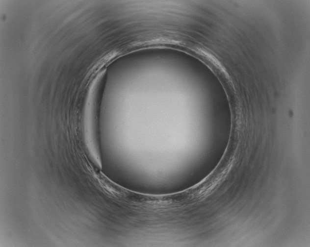 X0000066530793200604071615