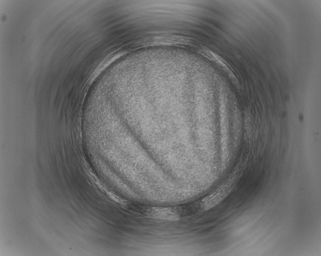 X0000066530794200604071615